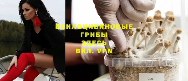 МДПВ Алзамай