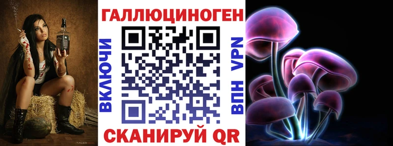 Псилоцибиновые грибы Cubensis Динская
